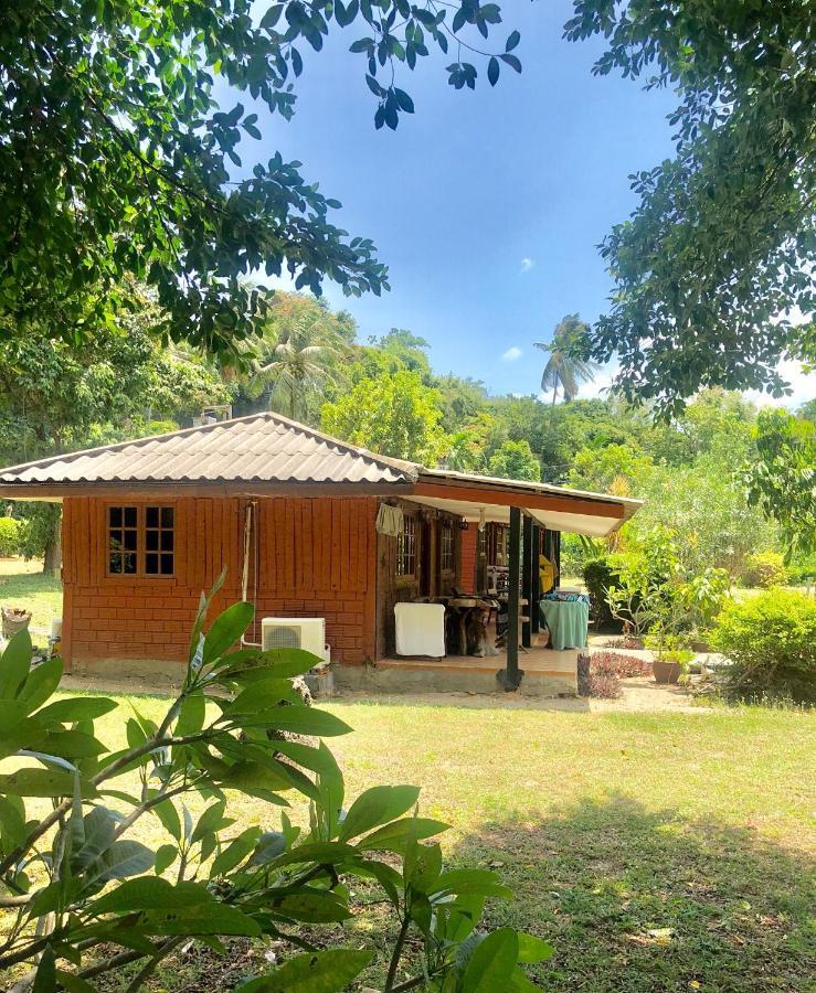 Lamai Chalet Amphoe Koksamui Eksteriør billede