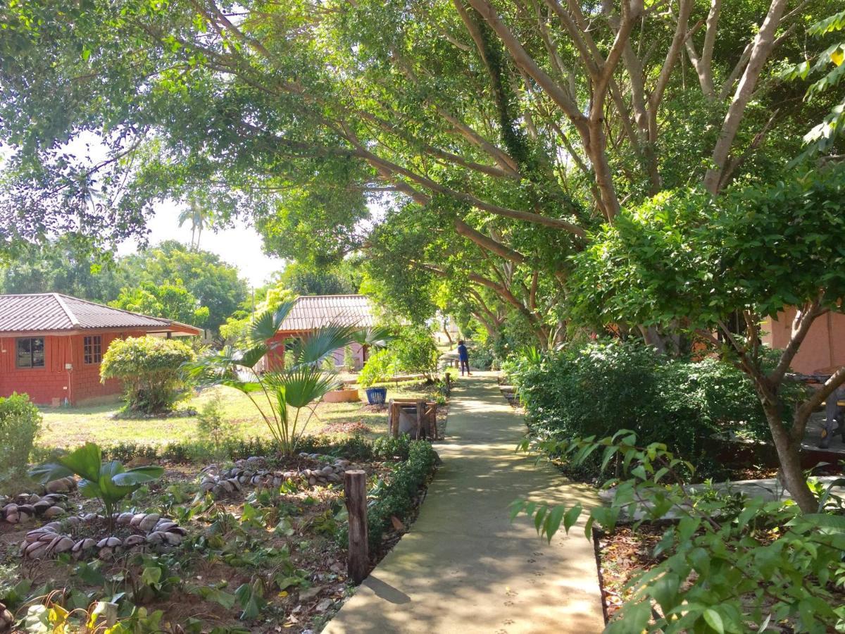 Lamai Chalet Amphoe Koksamui Eksteriør billede