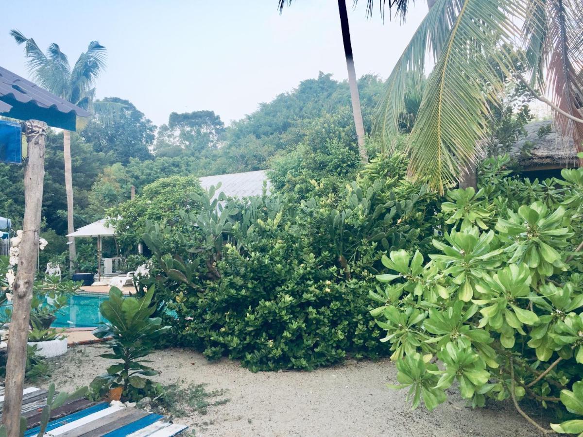 Lamai Chalet Amphoe Koksamui Eksteriør billede